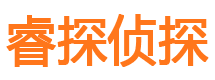 凤泉市私家侦探